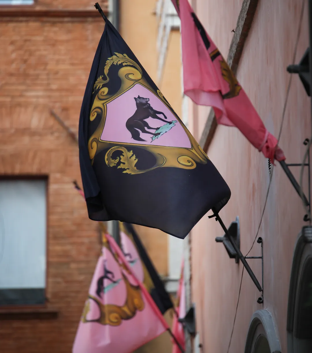 Bandiere del rione Morlupo con lo stemma del lupo, esposte lungo le vie del rione